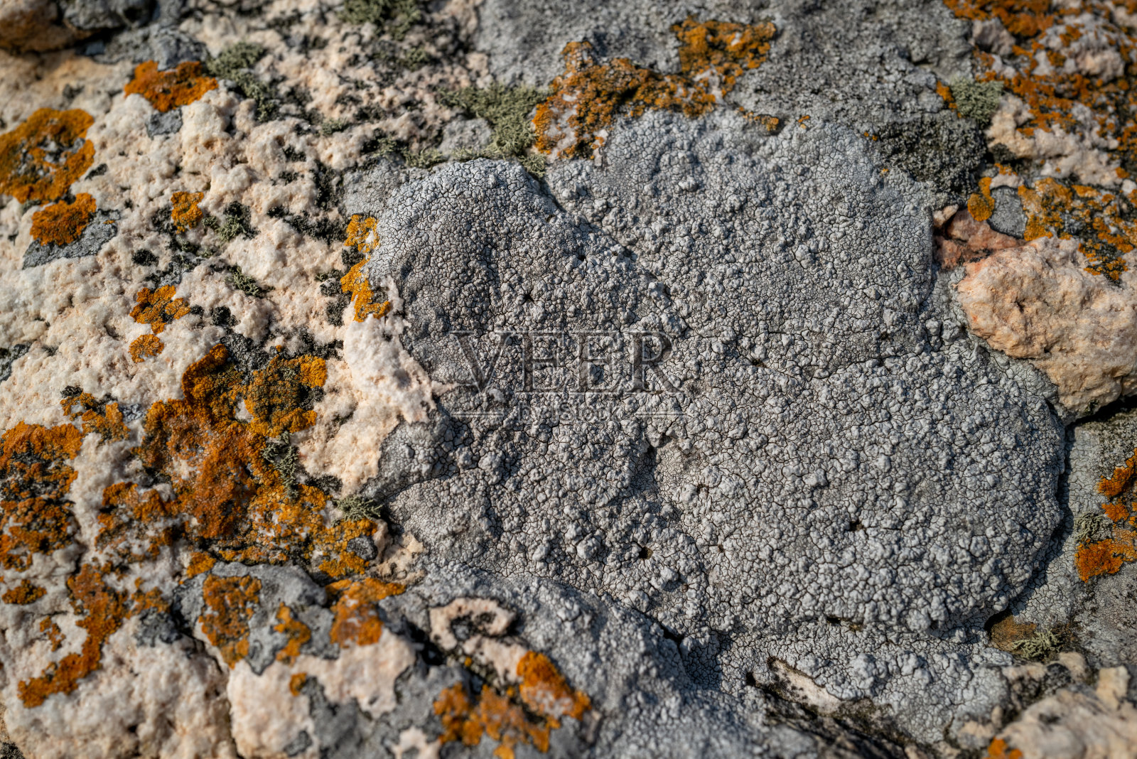 纹理，颜色和地衣自然岩石表面照片摄影图片