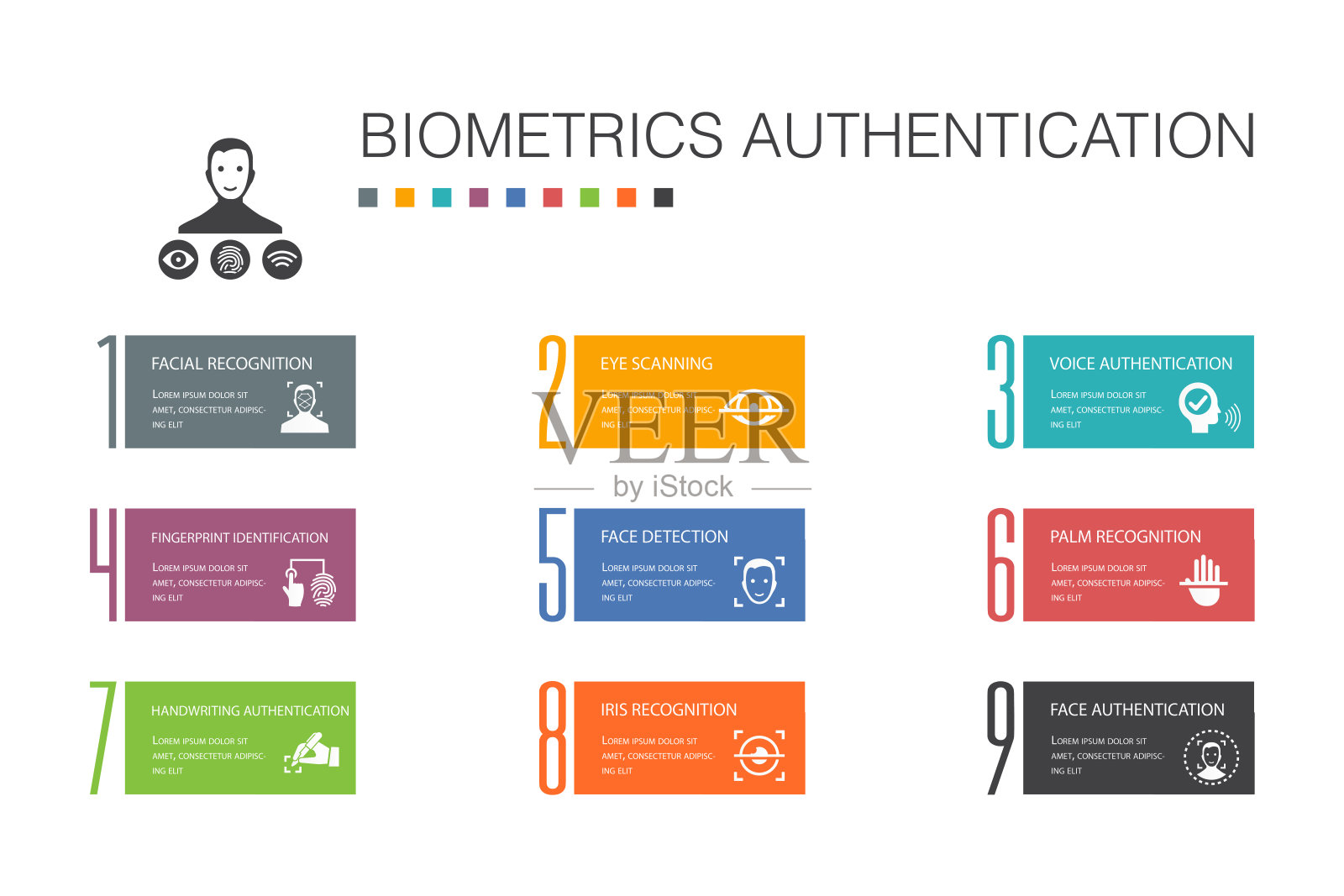 生物识别认证信息图10选项线概念。人脸识别，人脸检测，指纹识别，掌纹识别简单图标插画图片素材