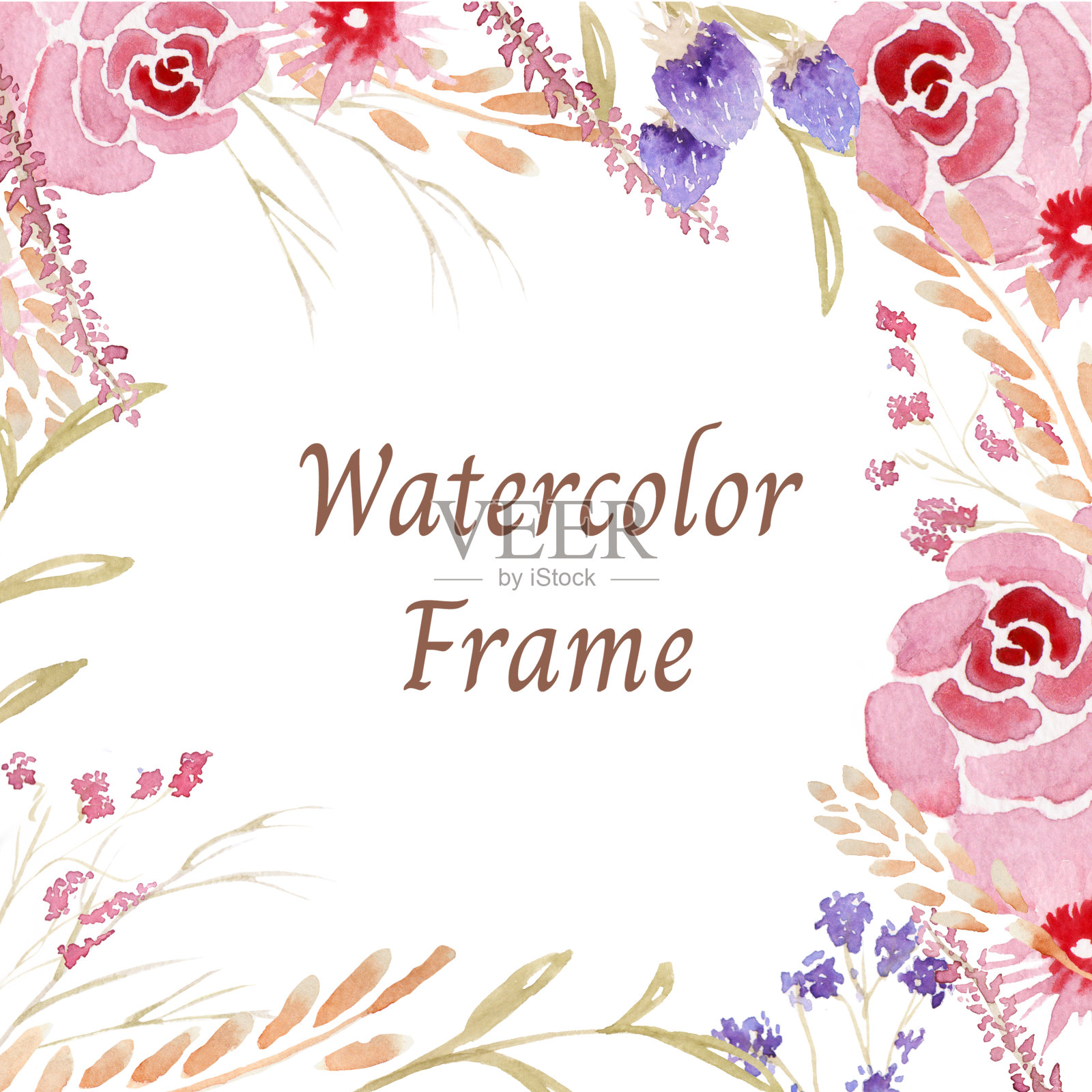 水彩框架红玫瑰，薰衣草和其他花和叶子设计元素图片