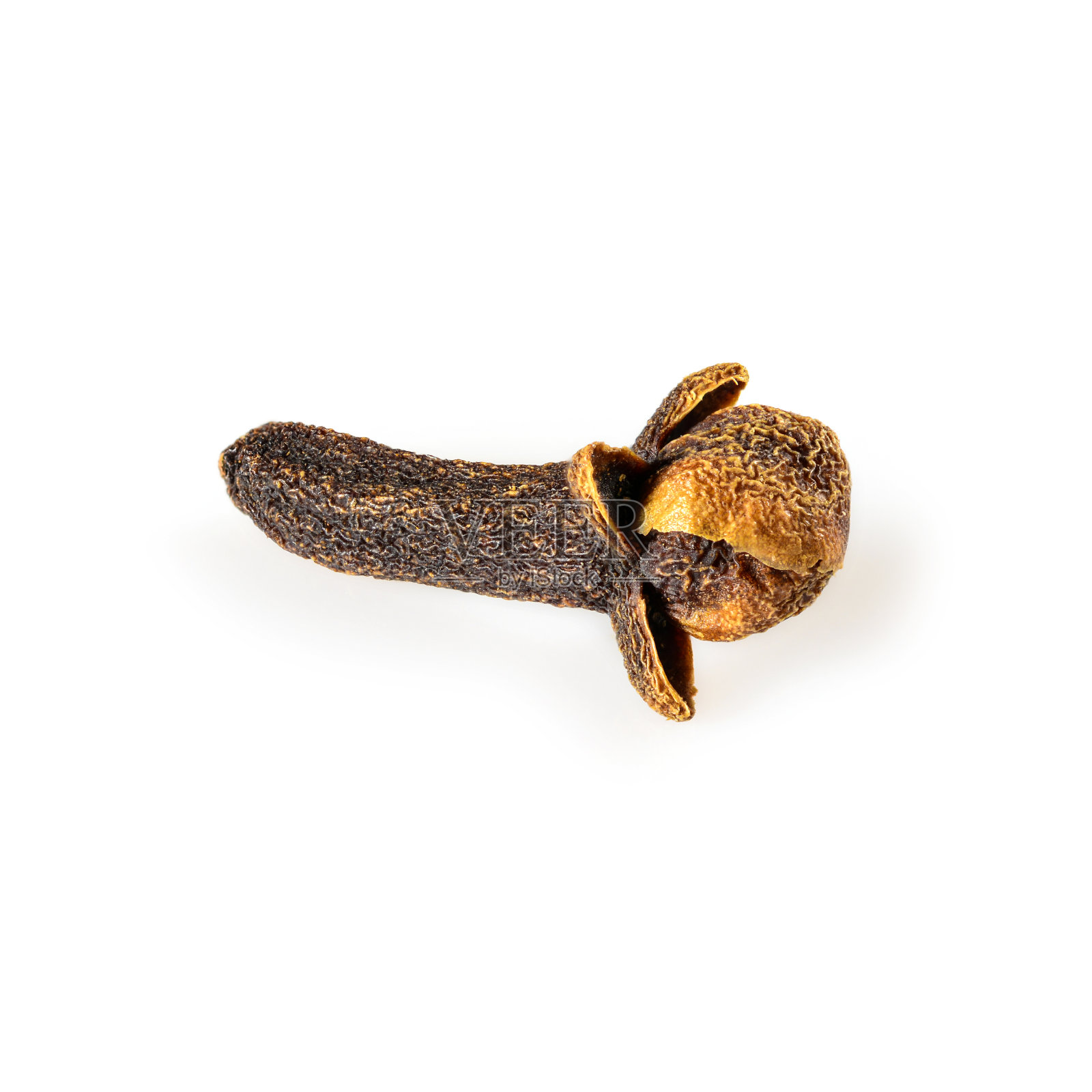 丁香香料。一个干丁香，微距特写，白色背景，光影。照片摄影图片