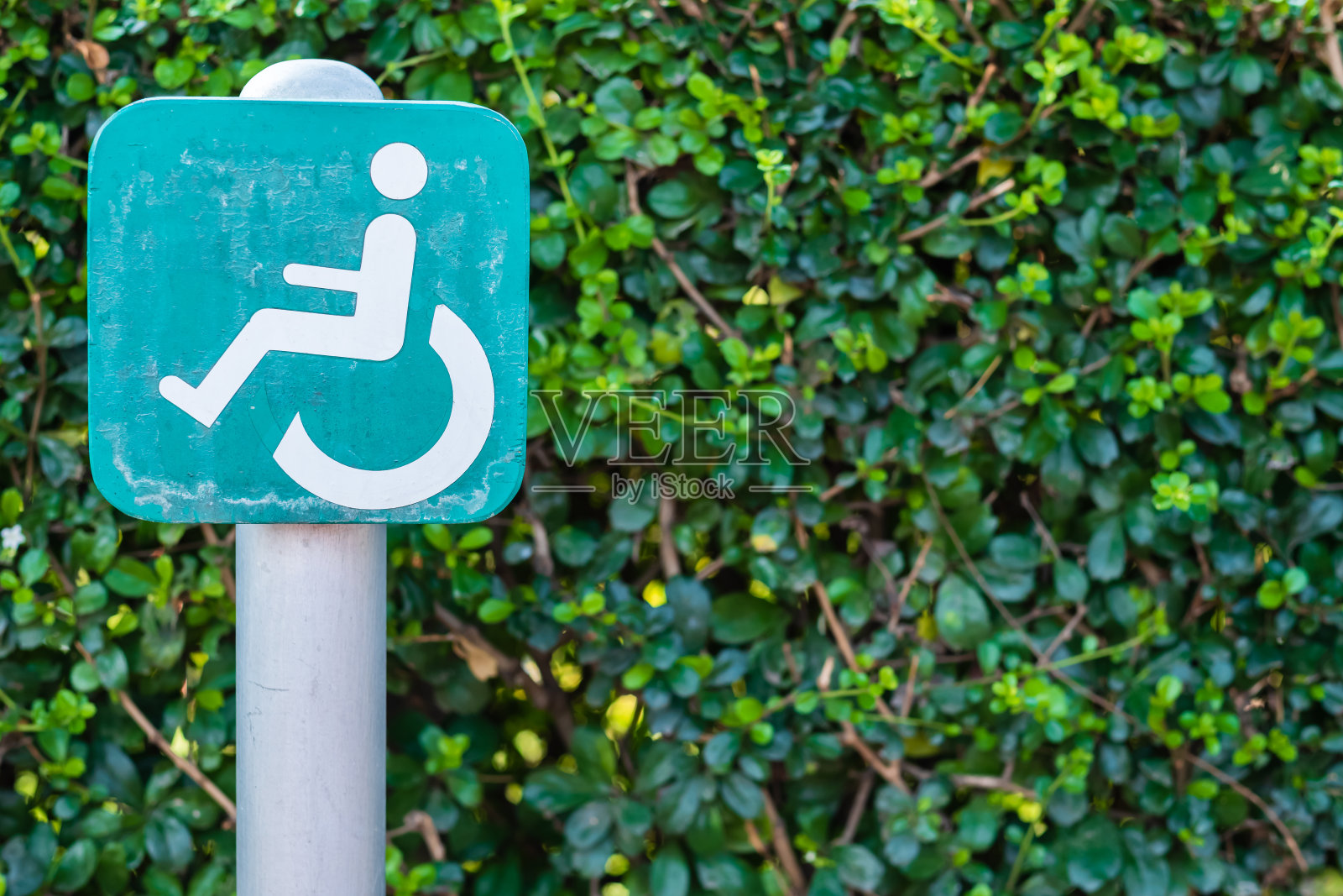 残疾人标志照片摄影图片