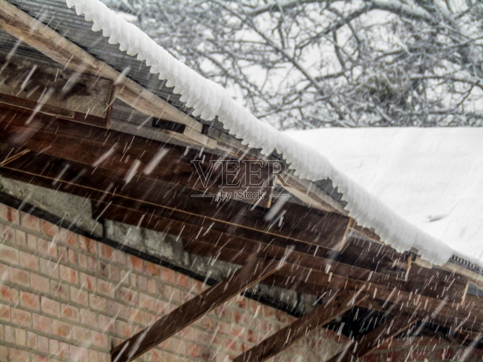 一所房子的石板屋顶在雪中，旁边的一棵树在下雪的时候。照片照片摄影图片