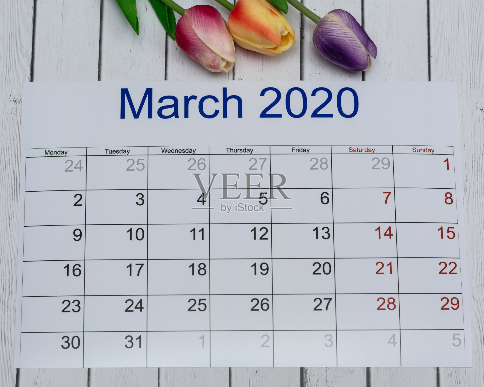 2020年3月的日历和三束郁金香。春天的概念。照片摄影图片