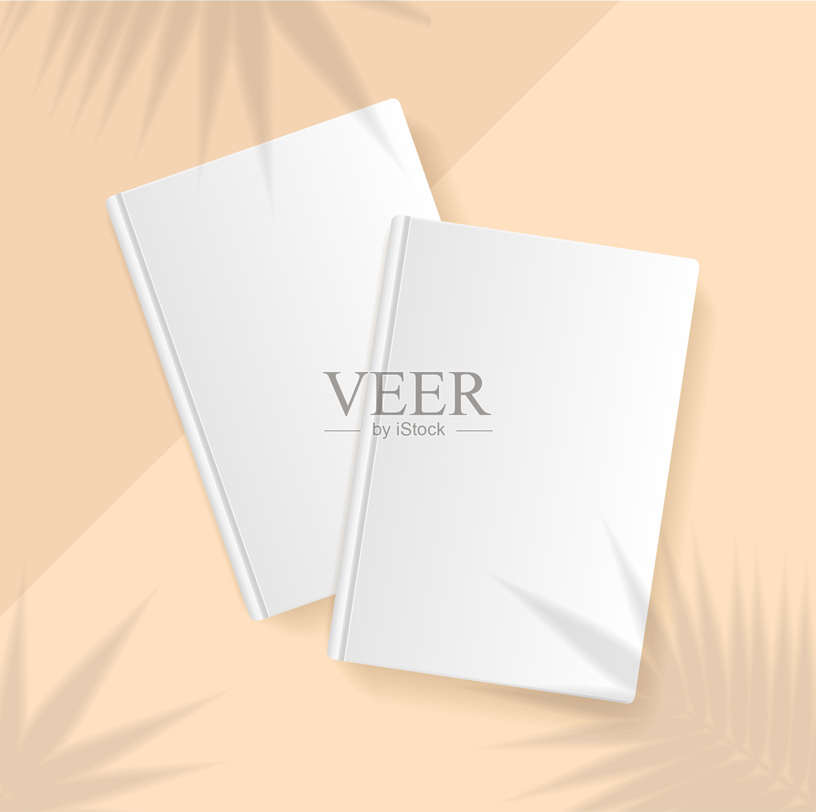 阴影植物覆盖棕榈叶效果逼真详细3d书封面模板集。向量插画图片素材