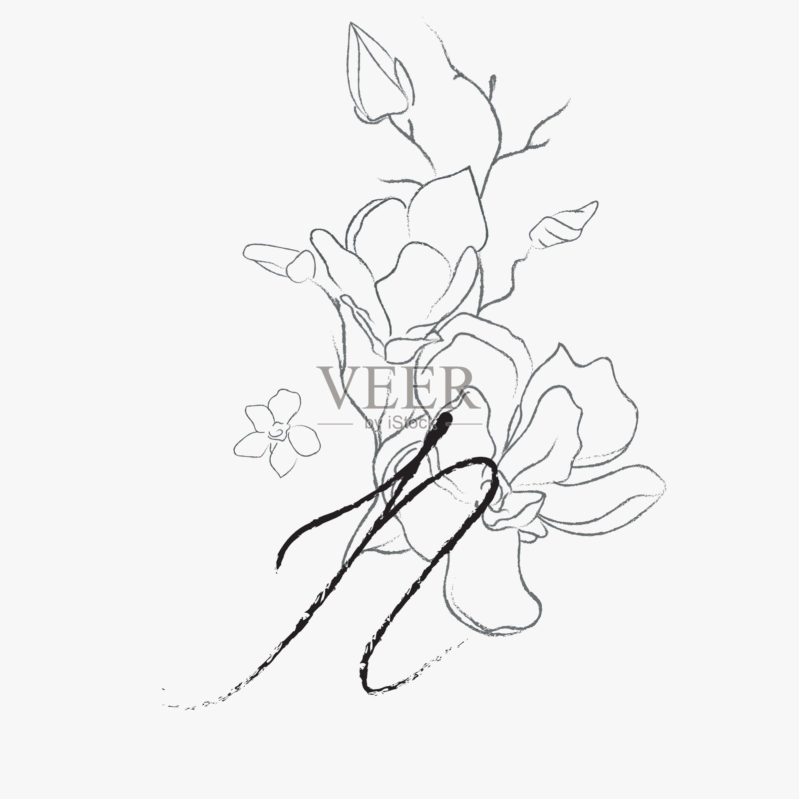 手写花字母N插画图片素材