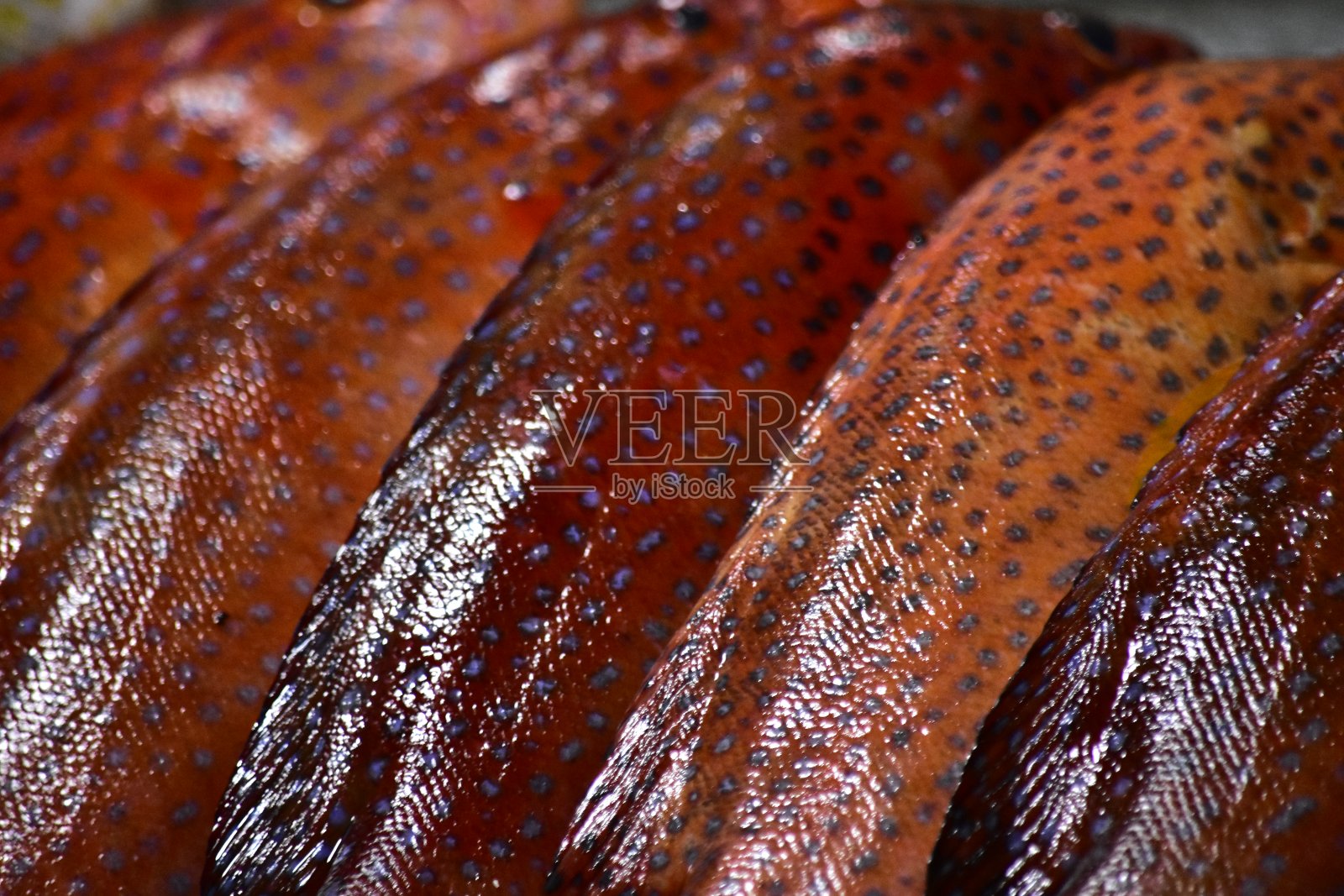 夜市上有各种新鲜的鱼和海鲜照片摄影图片