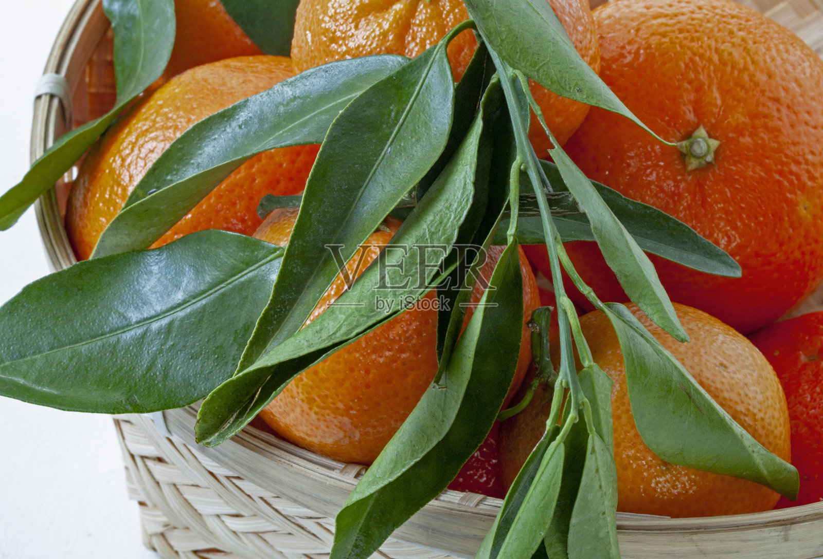 科西嘉小柑橘和它们的叶子照片摄影图片