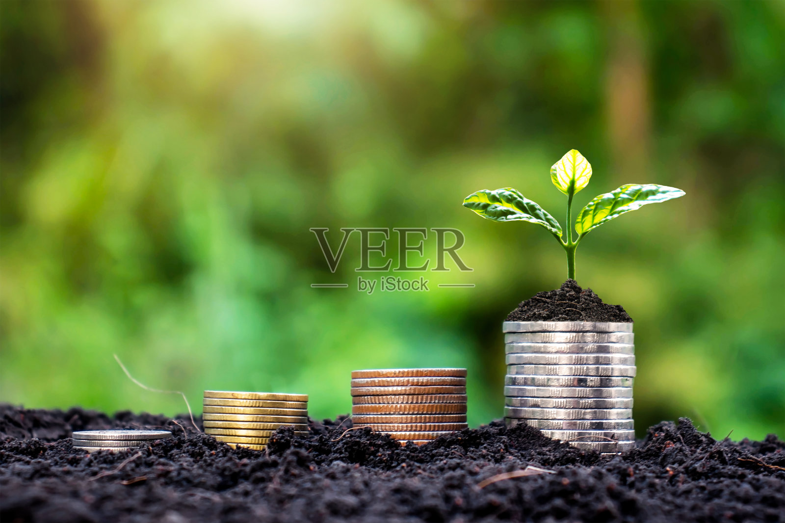 用硬币堆叠的小植物和储蓄理念照片摄影图片