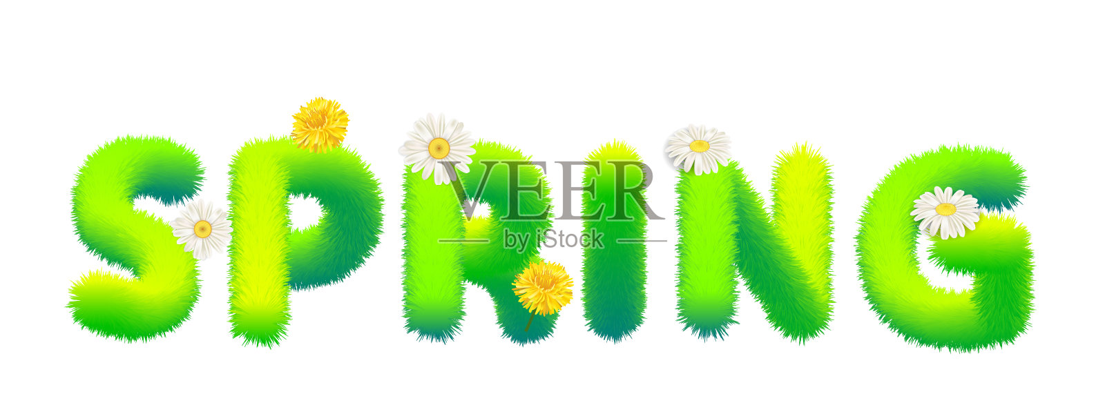 春字用毛皮制成，装饰蓬松，花朵有雏菊、蒲公英。排版，文本，纹理，绿色字母，矢量，孤立的插图设计元素图片