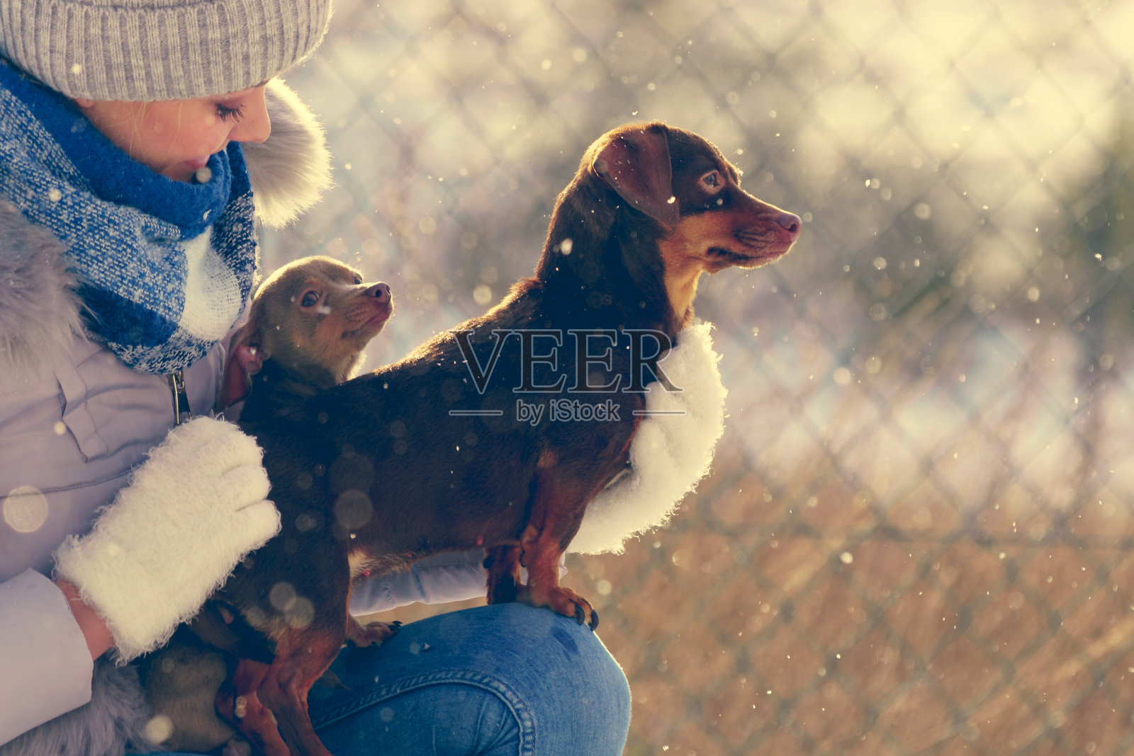 女人在冬天和狗玩照片摄影图片