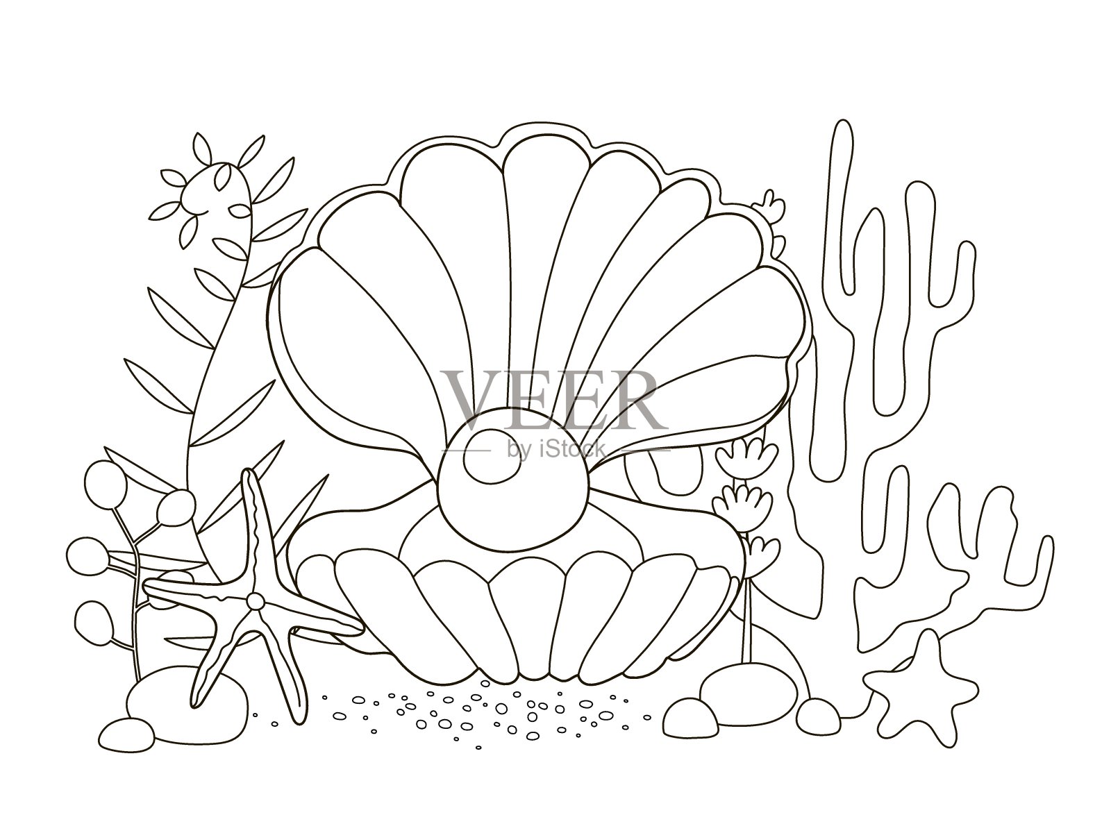 矢量美丽的着色书为成人和儿童与一个大的贝壳和珍珠之间的海藻，海星和珊瑚。一组海洋动物的涂色书。可爱的贝壳和牡蛎与珍珠被着色，着色书插画图片素材