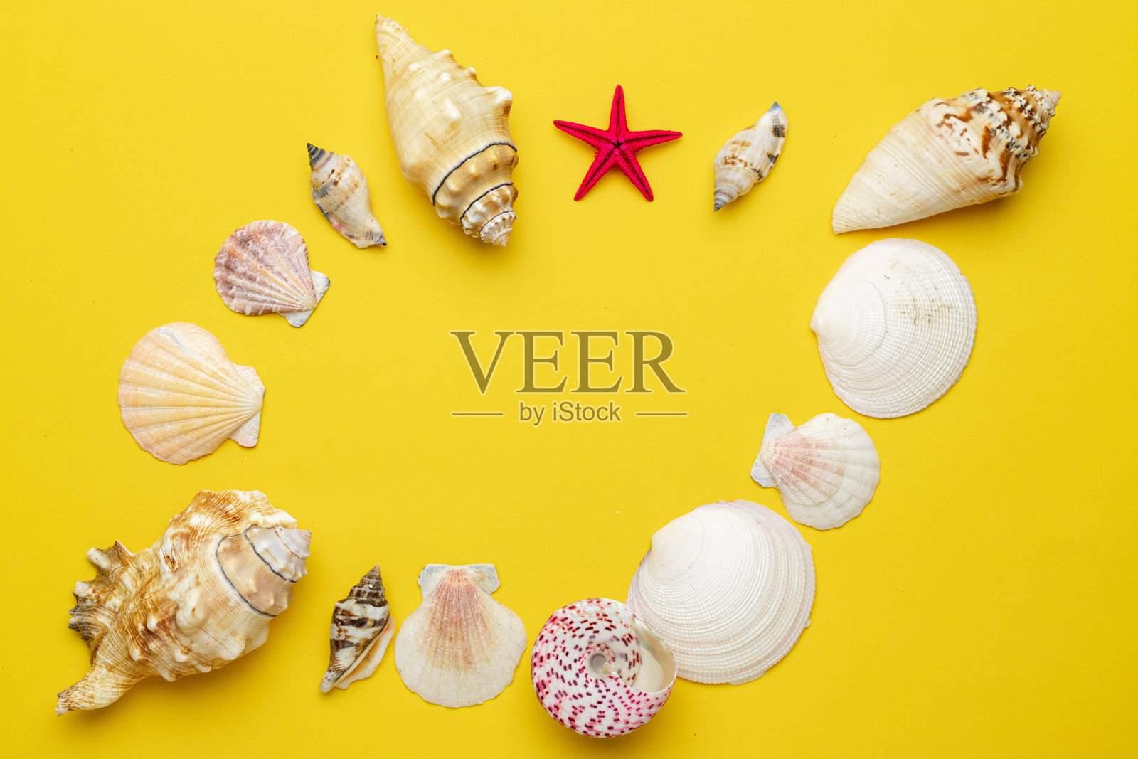 夏天的背景海滩与贝壳和海星在形状框架孤立在黄色的背景。顶视图旅游或度假概念照片摄影图片