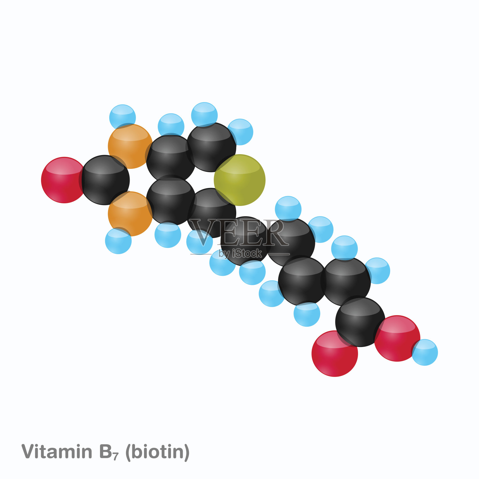 维生素B7（生物素）球体照片摄影图片