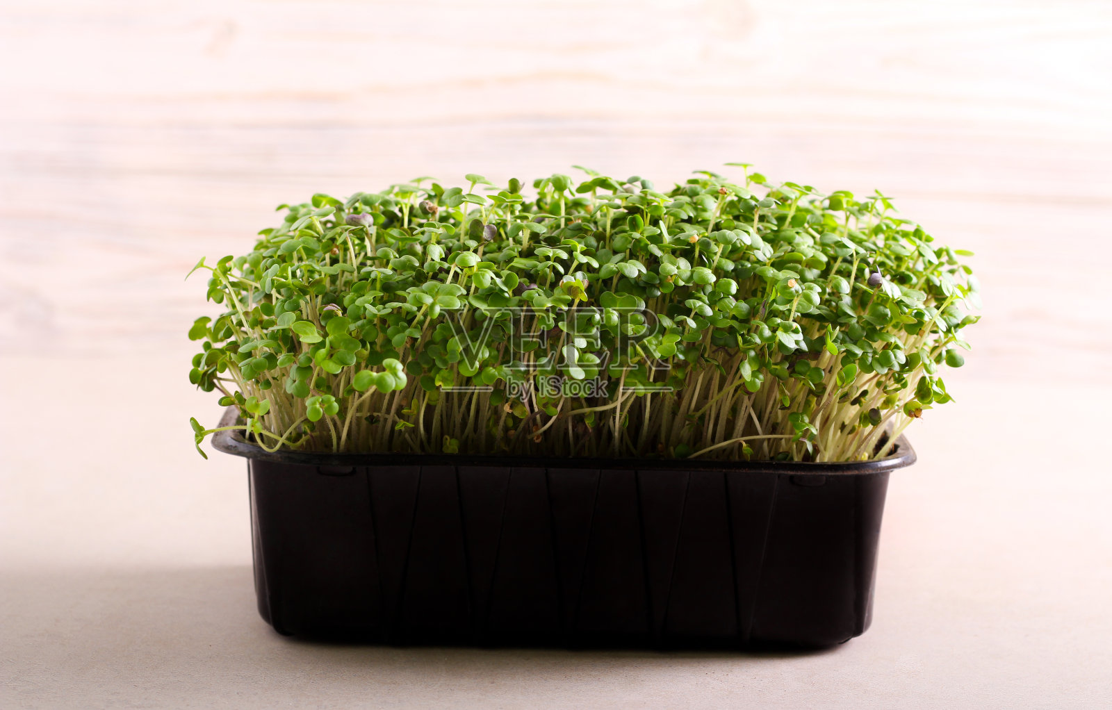 微香草西洋菜沙拉照片摄影图片