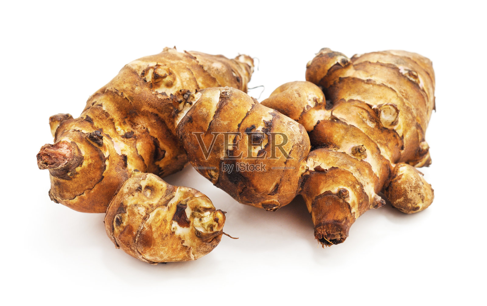 根生洋蓟。照片摄影图片