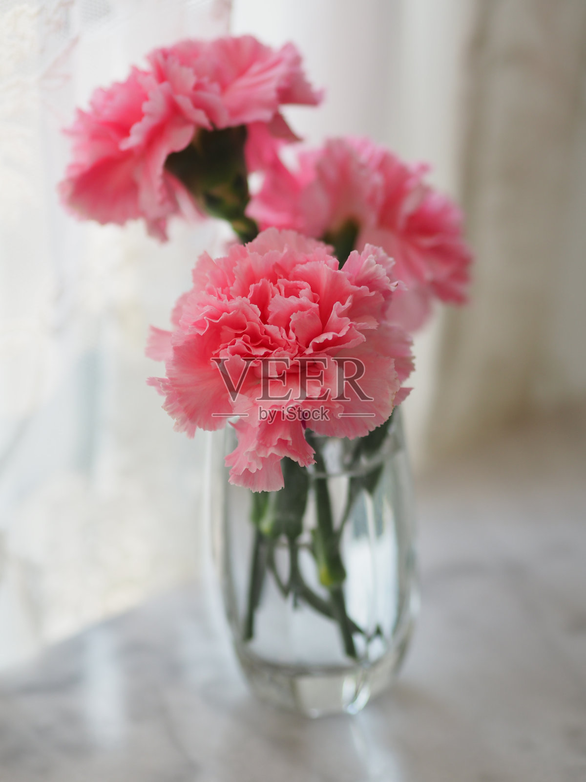 粉红色的康乃馨花在大理石桌上一杯水照片摄影图片