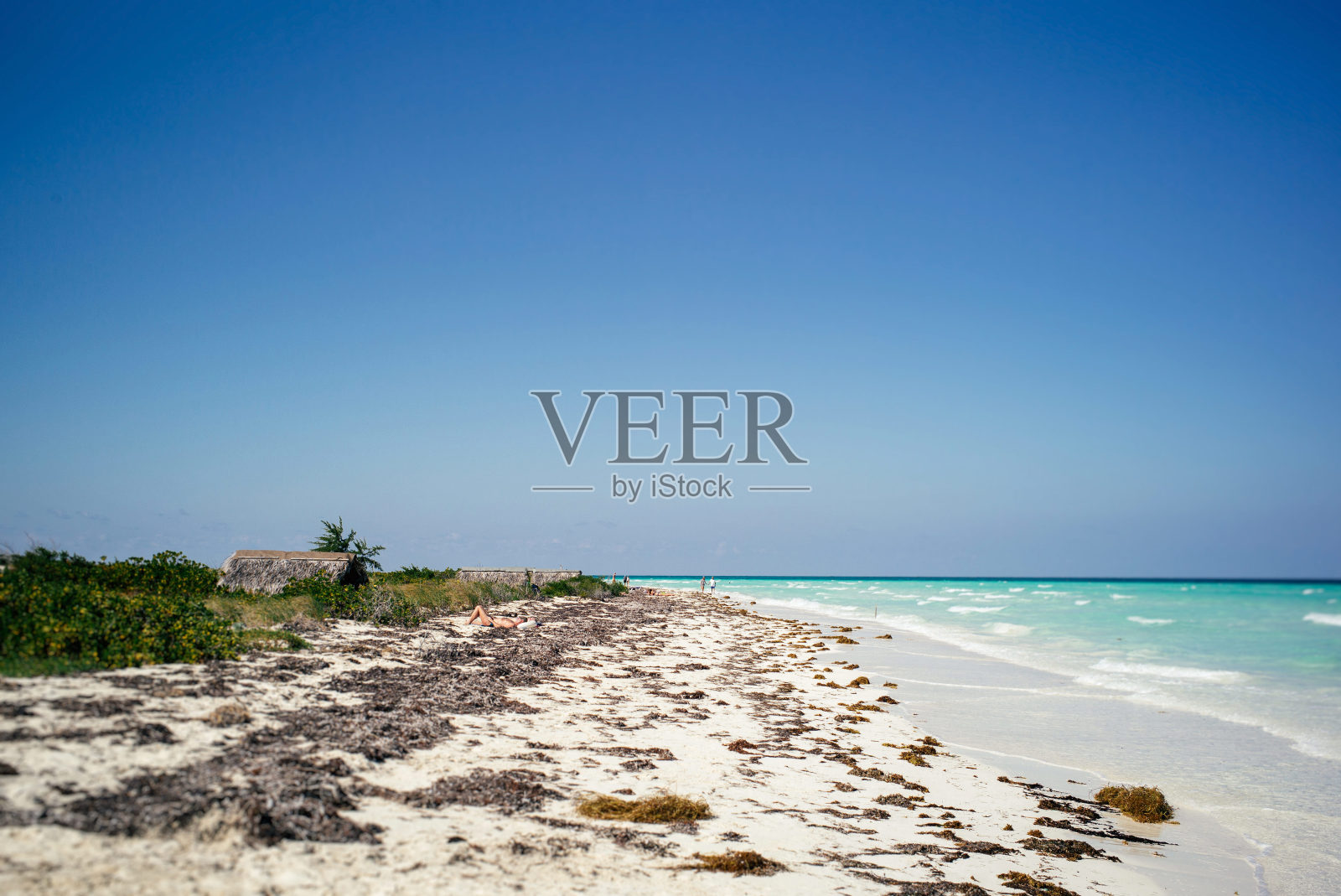 古巴海滩照片摄影图片