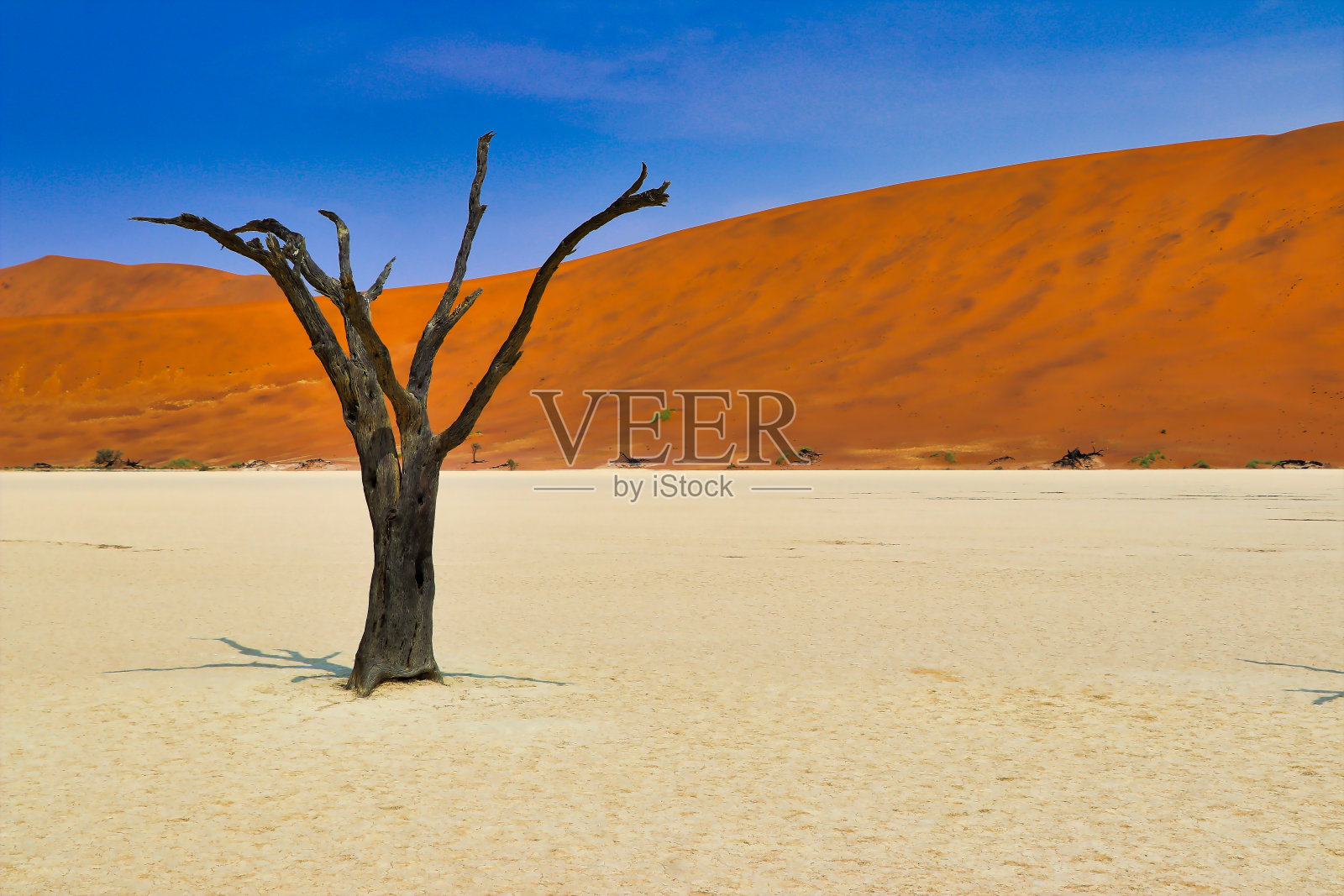 死亡谷(纳米比亚- naukluft公园)-纳米比亚非洲照片摄影图片