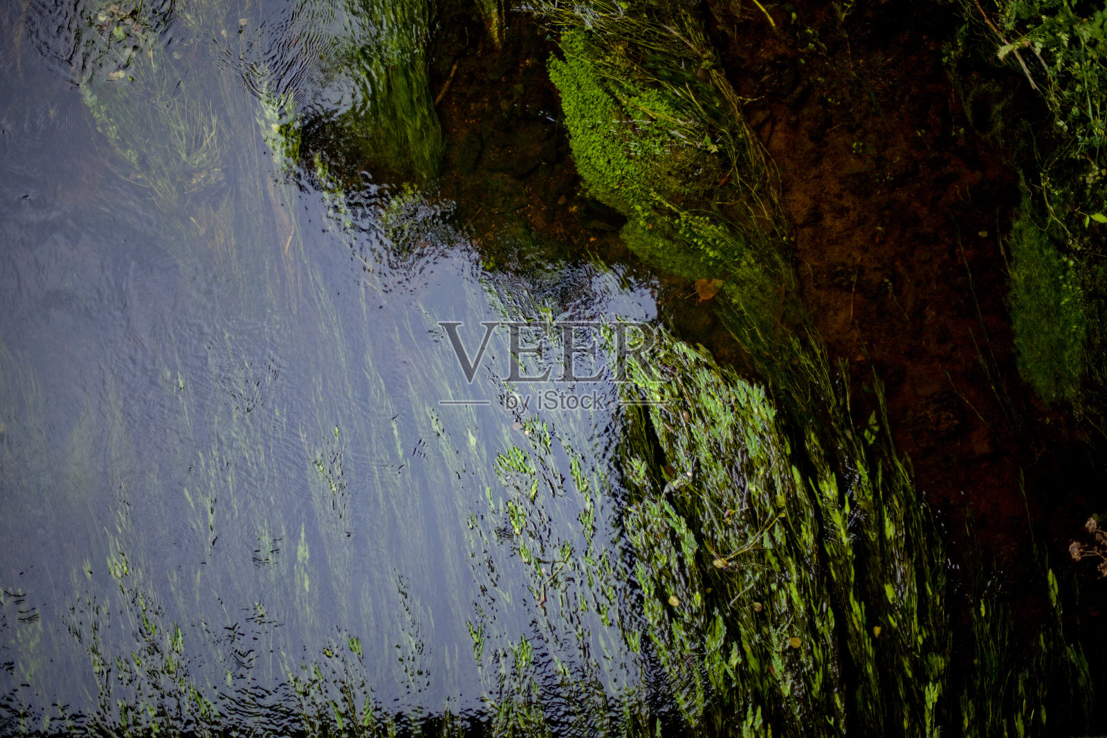 布列塔尼圣艾格南运河照片摄影图片