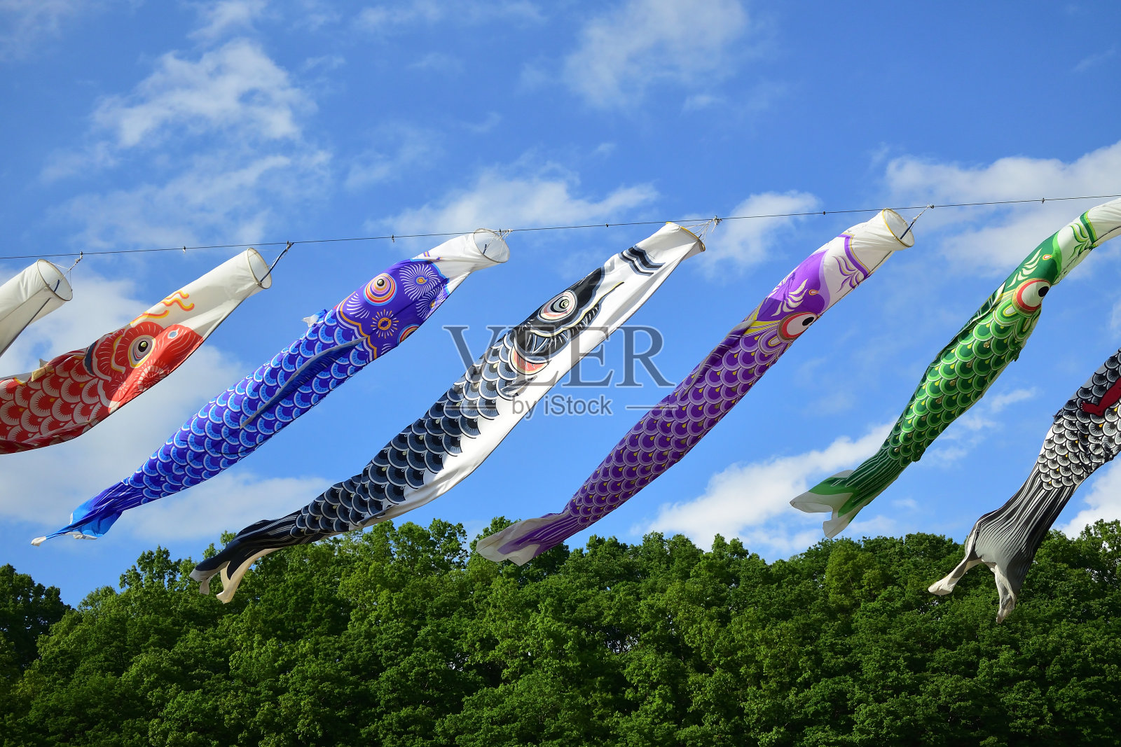 鲤鱼在天，日本事件照片摄影图片