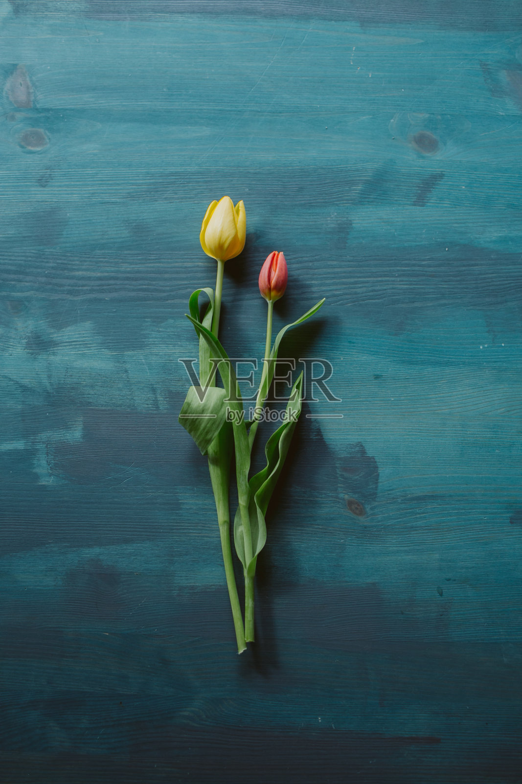 红色和黄色的郁金香在蓝色木制背景，俯视图。春天的背景。花在木制的乡村桌子上设计。照片摄影图片