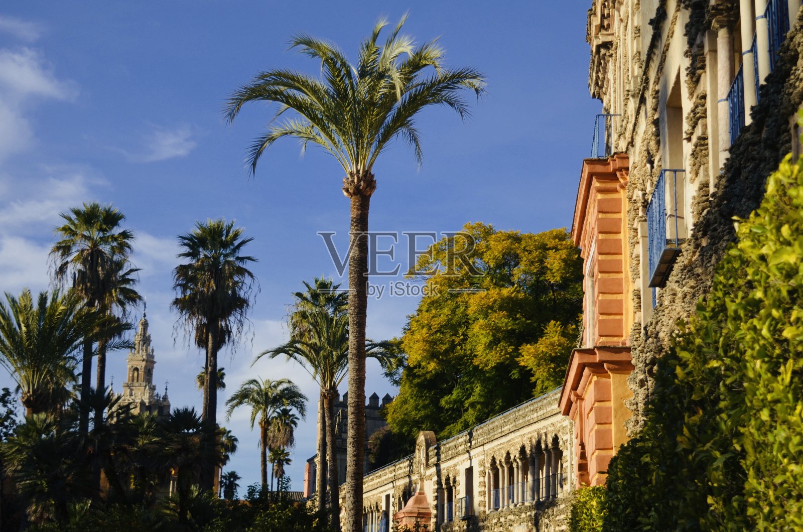 西班牙塞维利亚照片摄影图片