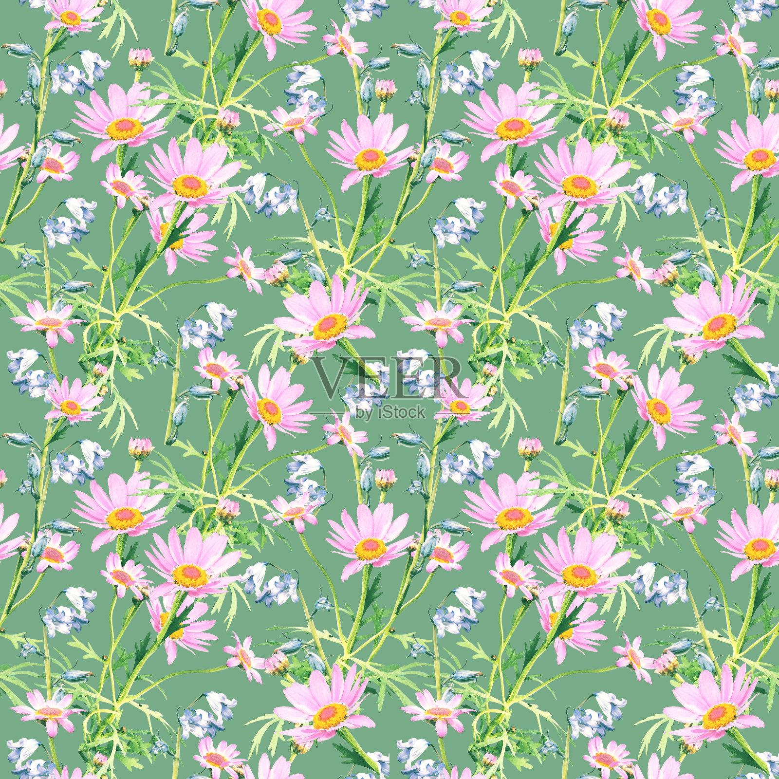 花卉无缝图案，玛格丽塔和风信子。插画图片素材