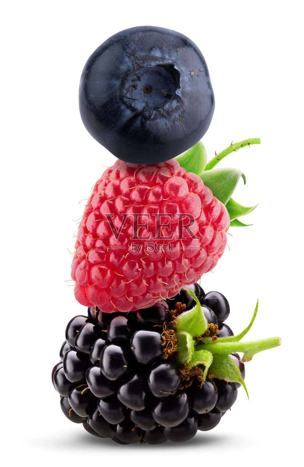 采集孤立在白色背景上的浆果照片摄影图片