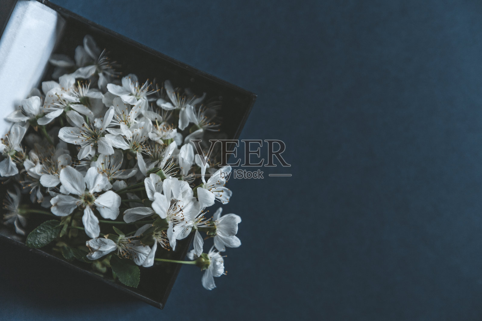 黑色的礼盒里放着鲜花照片摄影图片