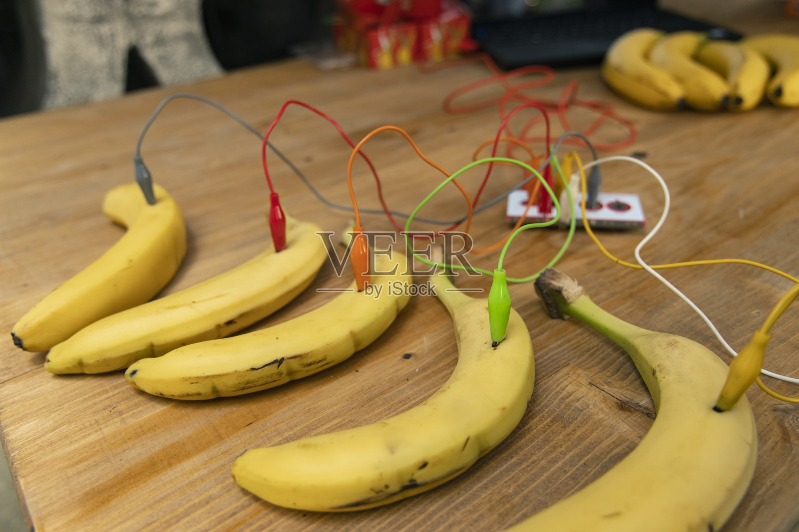 现代生态友好技术开发的工程对象是利用香蕉果实生产能源照片摄影图片