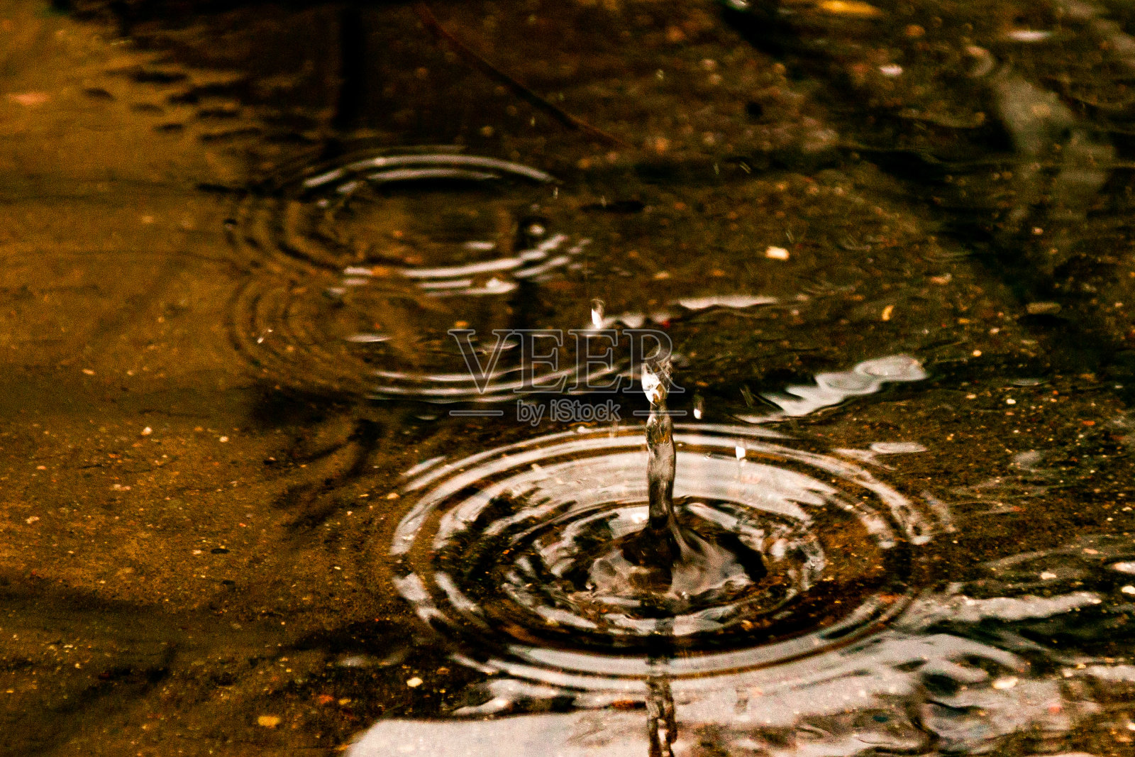 俄罗斯照片摄影图片