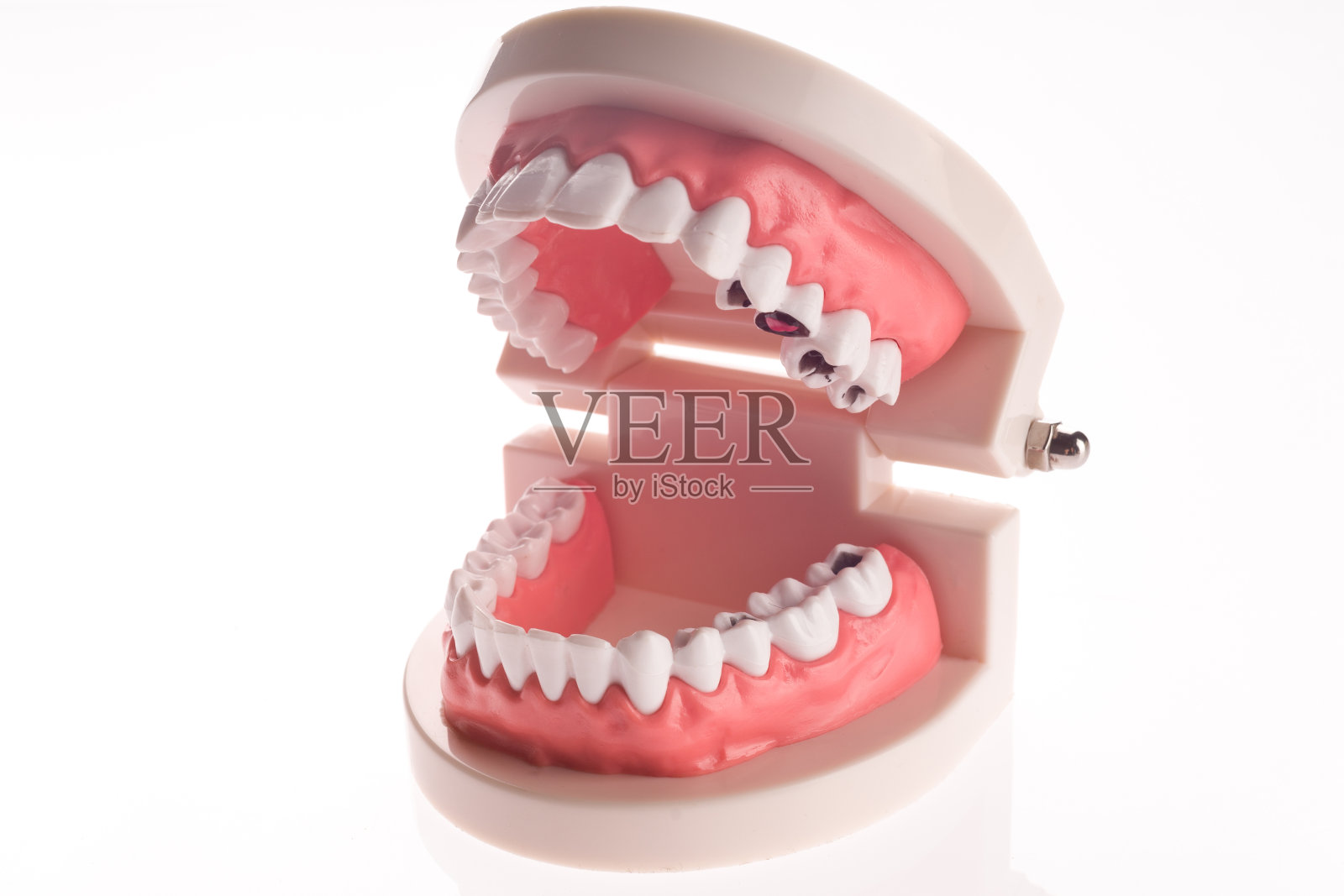 在白色背景上训练牙颌布局照片摄影图片