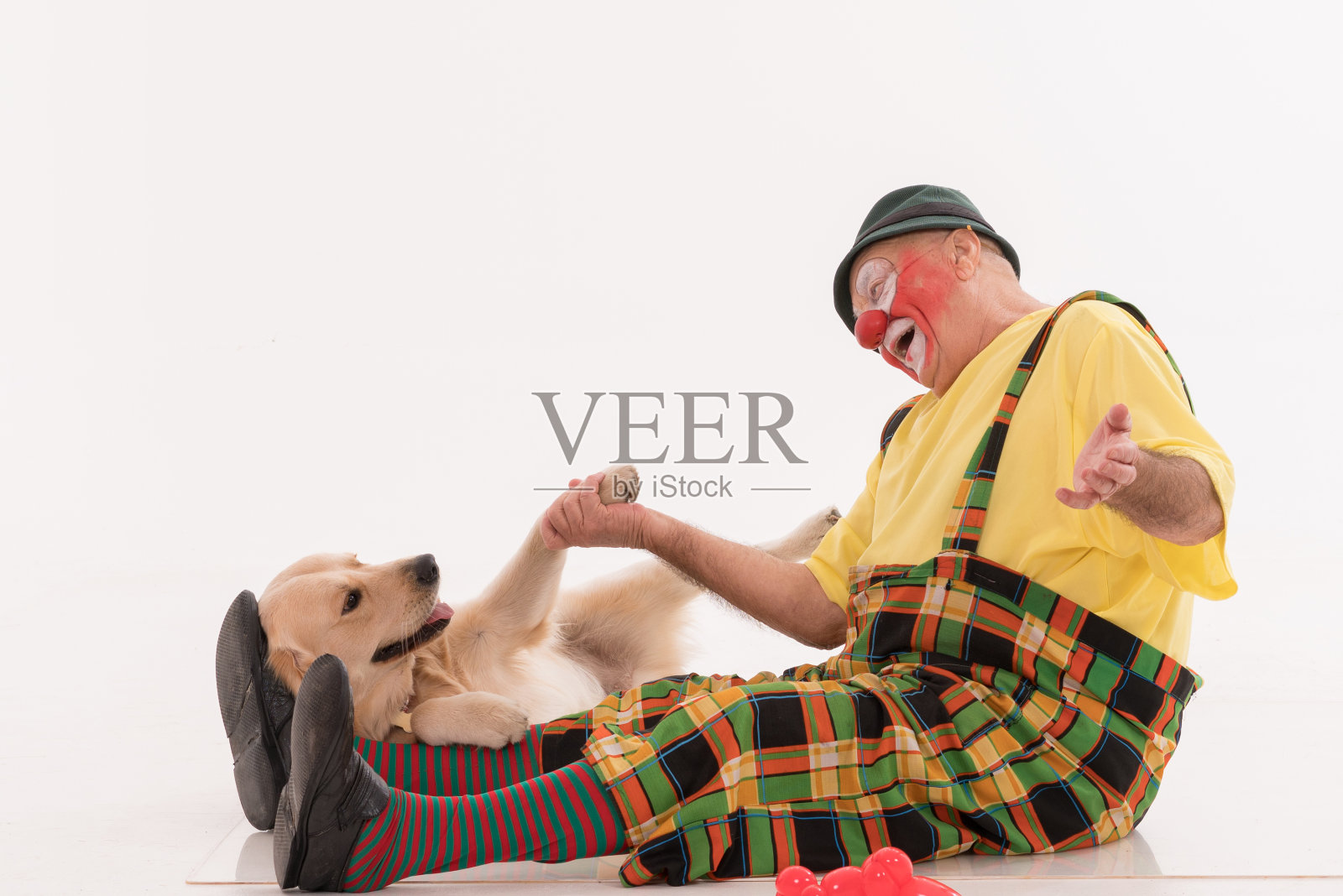 快乐的小丑和她的狗照片摄影图片