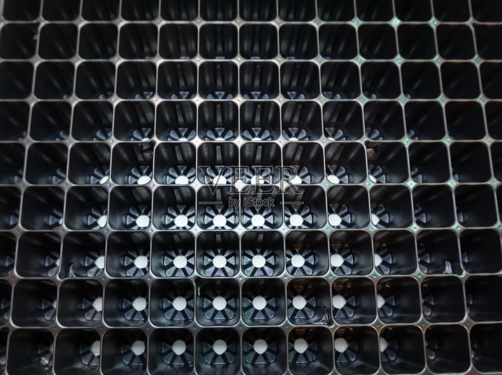 苗圃塑料托盘中幼苗空托盘，苗圃园艺照片摄影图片