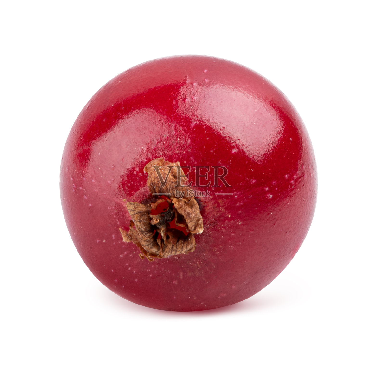 孤立在白色背景上的红醋栗照片摄影图片