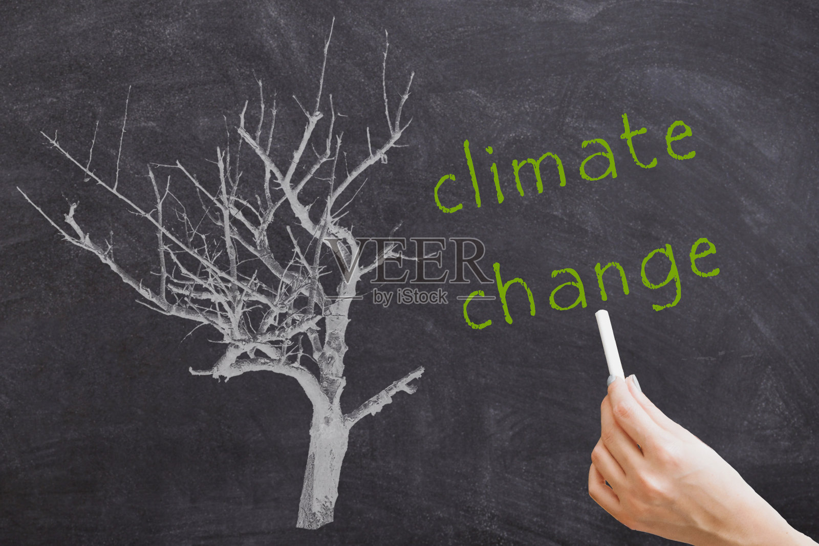 黑板上的树写着“气候变化”照片摄影图片