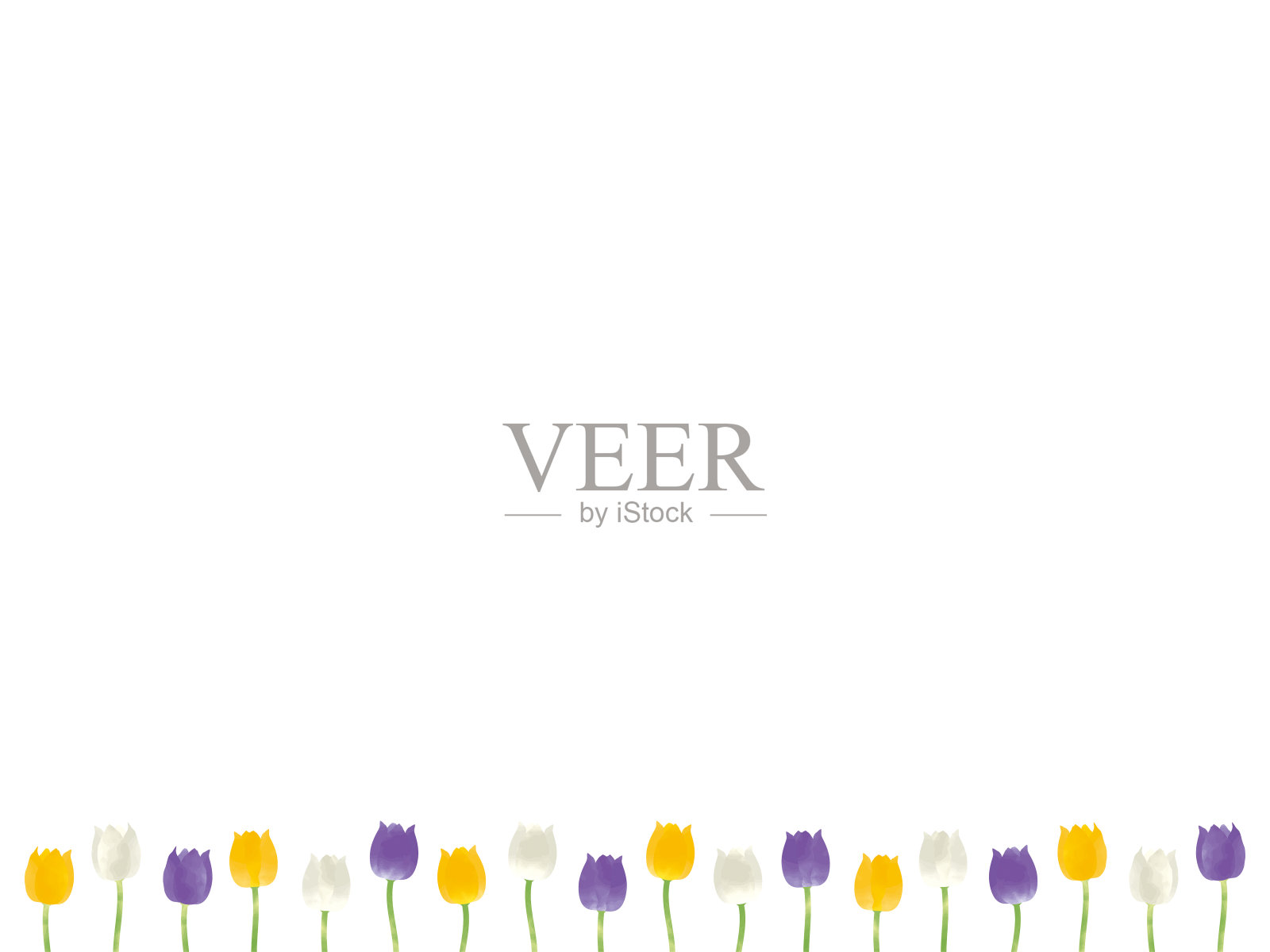 紫色郁金香紫色水彩背景材料插画图片素材