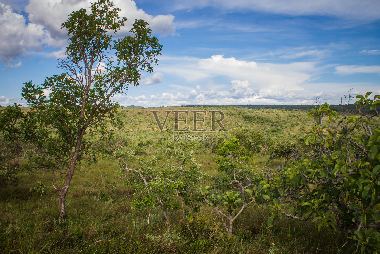 巴西大草原及其自然美景-阿里诺斯-米纳斯吉拉斯州-巴西照片摄影图片