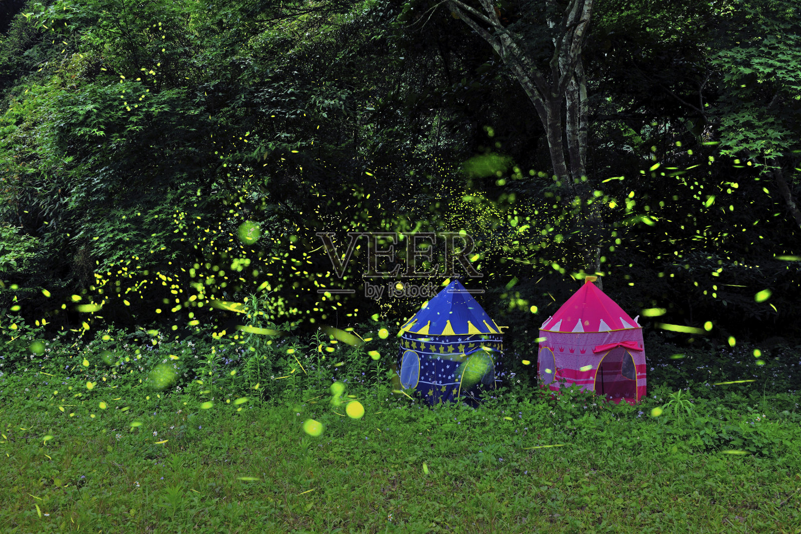 萤火虫夜游在卓栏苗栗照片摄影图片