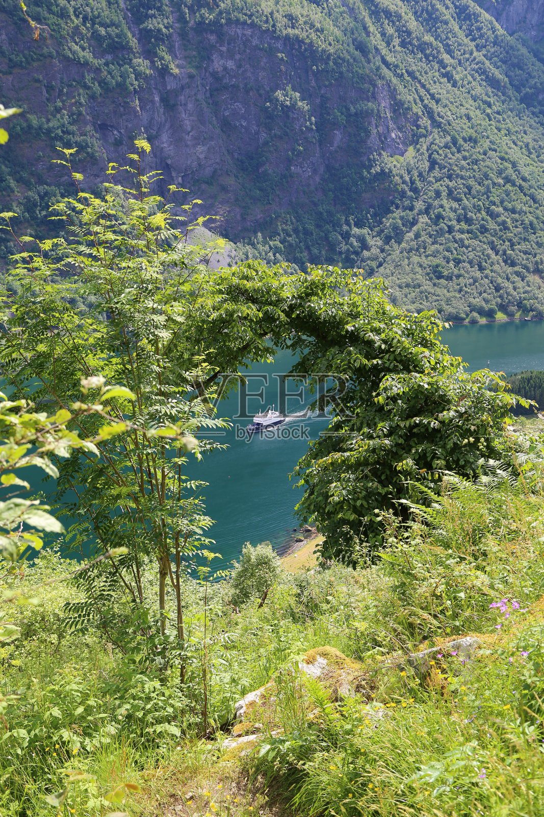 纳罗伊峡湾田园诗般的峡湾景观反射，轮船渡轮，挪威，斯堪的纳维亚照片摄影图片