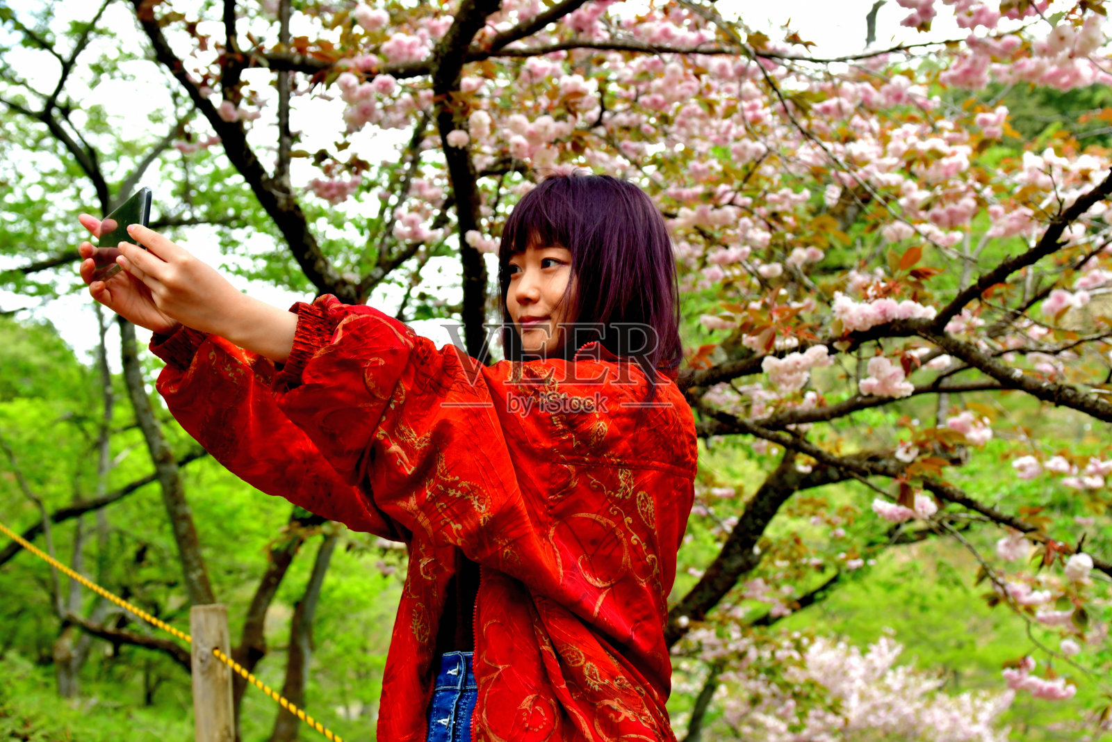 日本一名年轻女子以樱花为背景自拍照片摄影图片