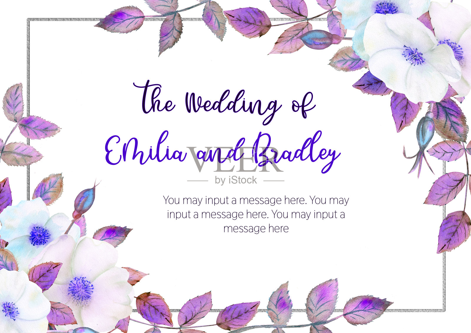 白色的蔷薇花，一个几何的蓝色框架组成。花海报，紫色的邀请。用于贺卡或请柬装饰的水彩作品。设计模板素材