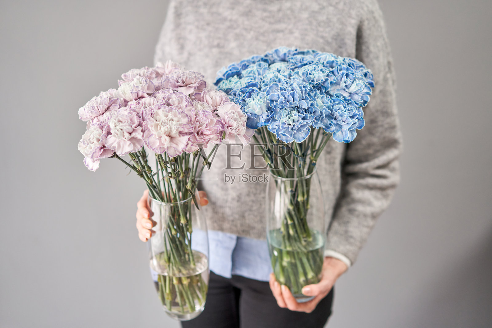 颜色特别的康乃馨花束。春季背景。母亲节的礼物。照片摄影图片