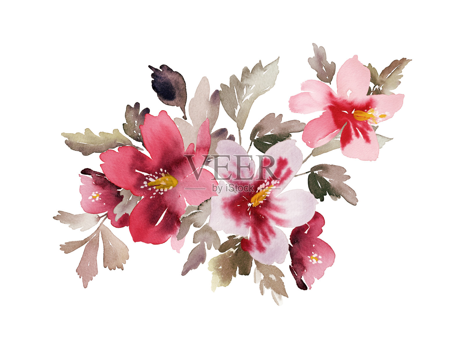 白色背景的热带花卉卡片插画图片素材