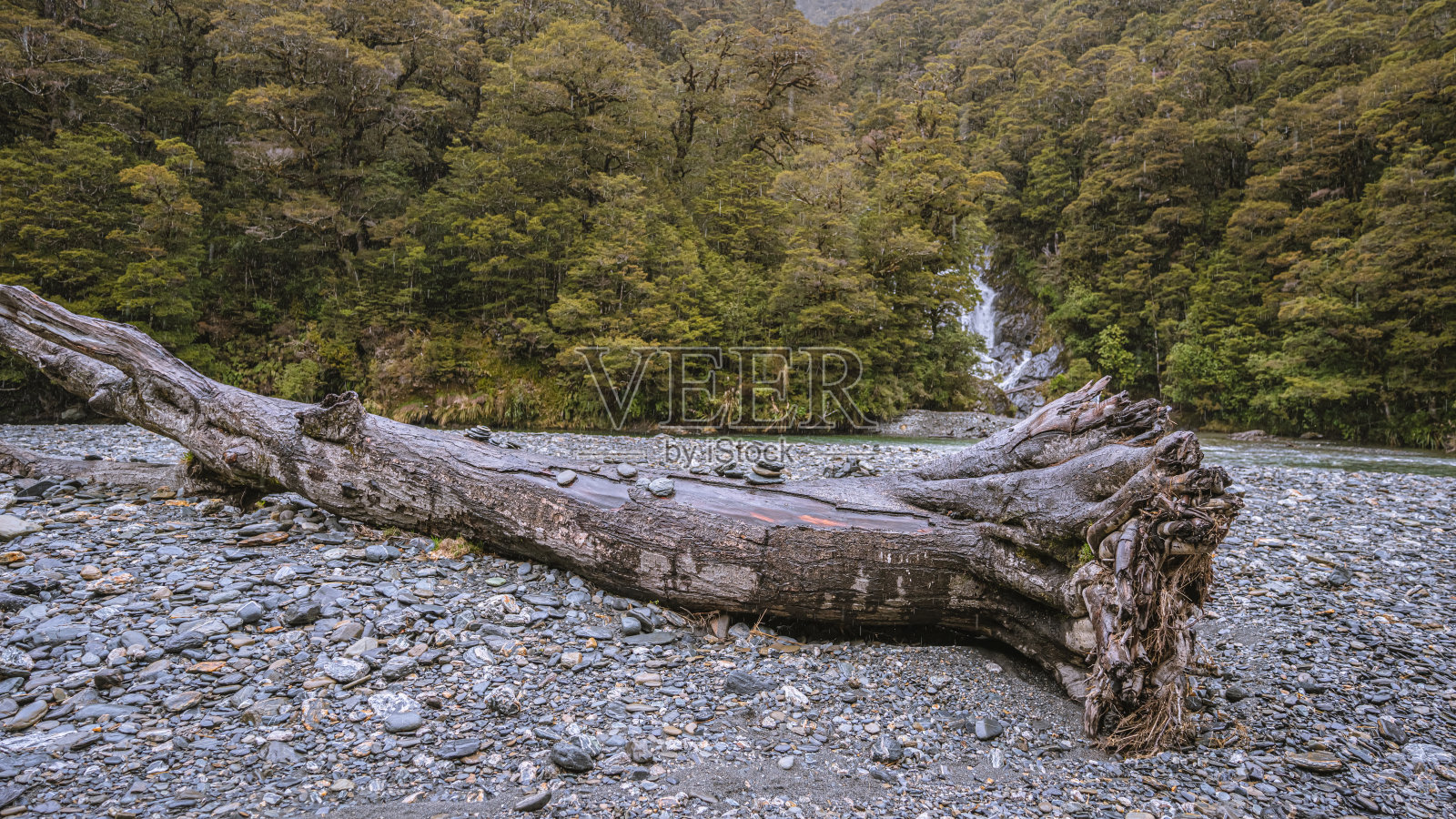 自然照片摄影图片