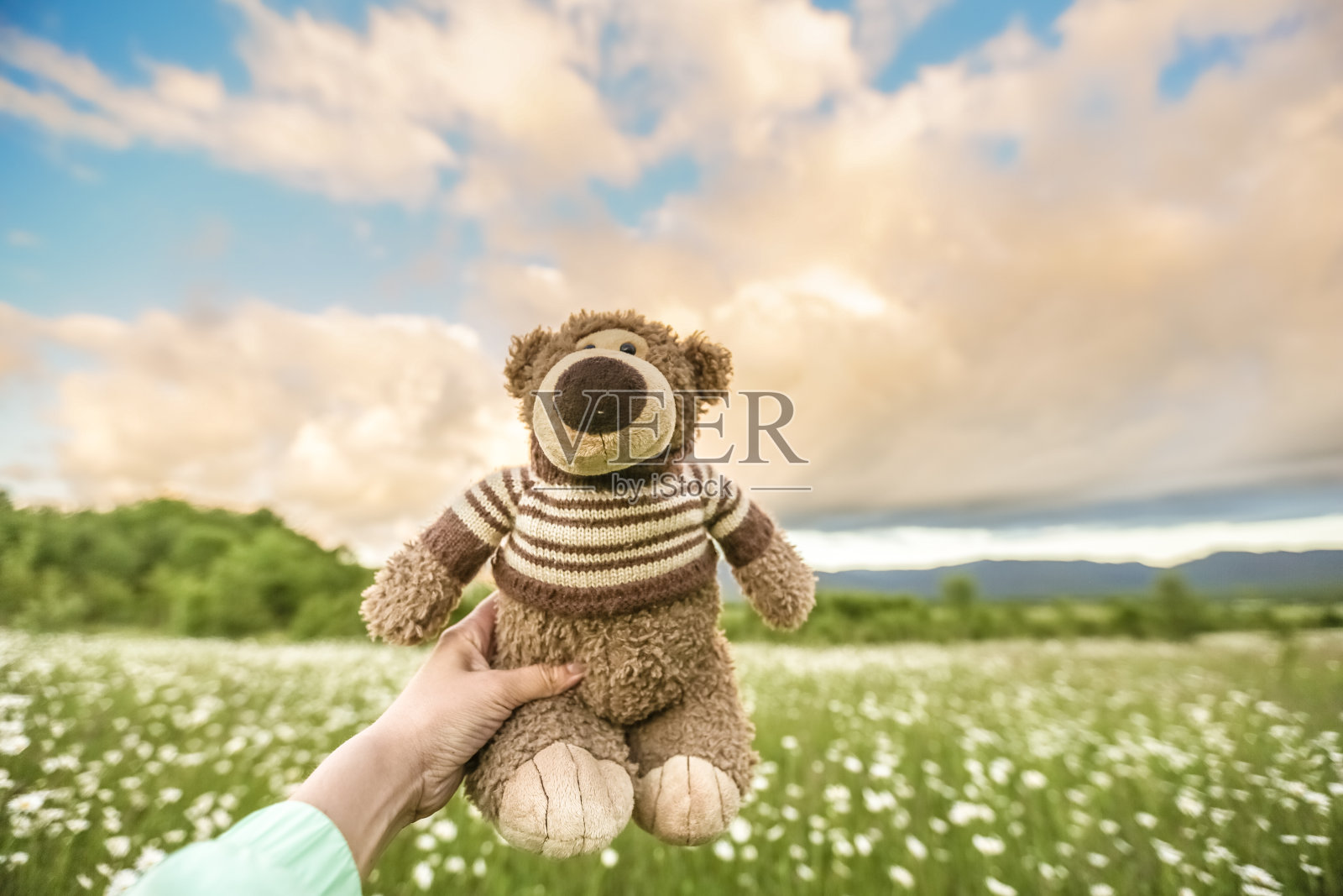 小玩具熊照片摄影图片