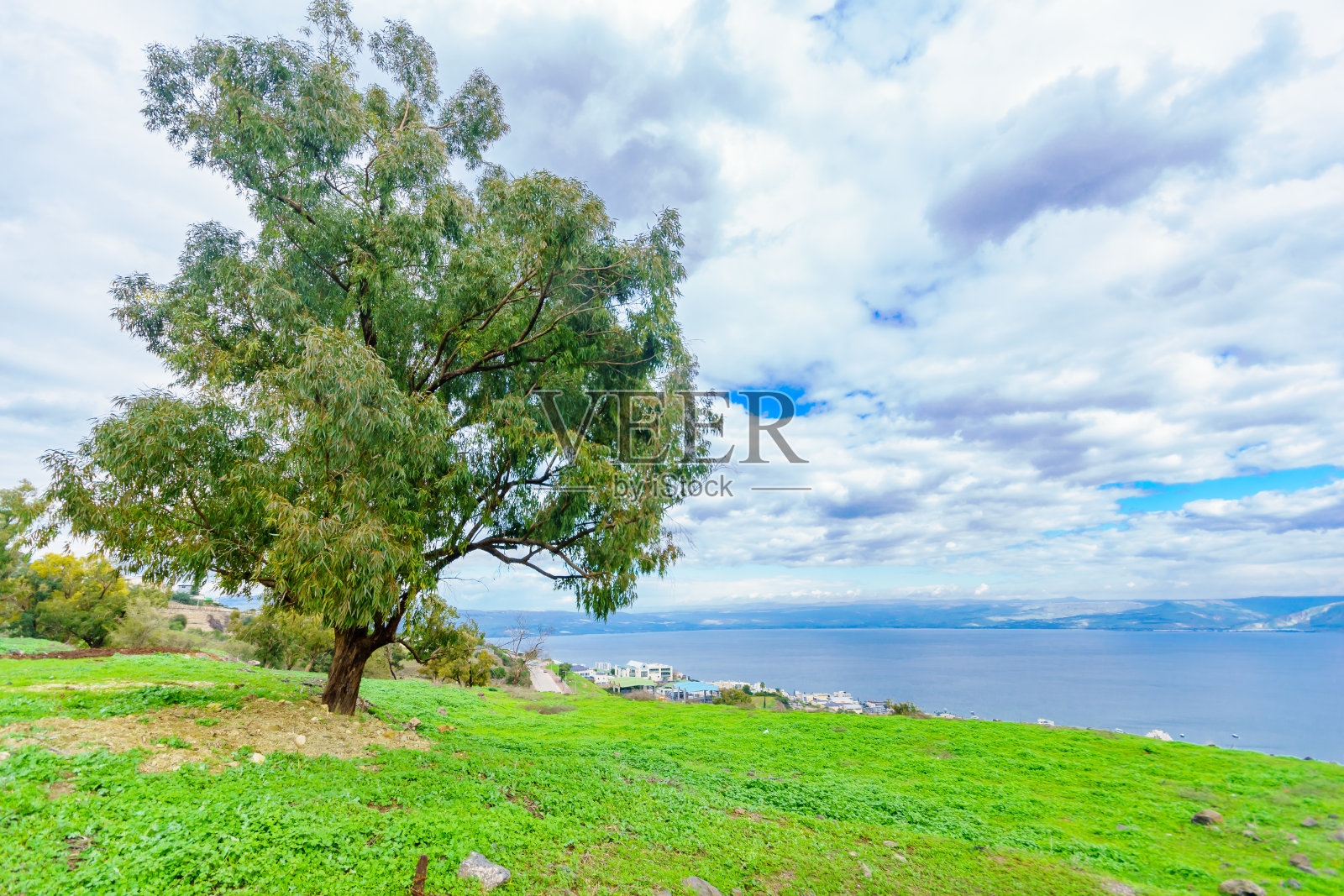 从西面眺望加利利海照片摄影图片