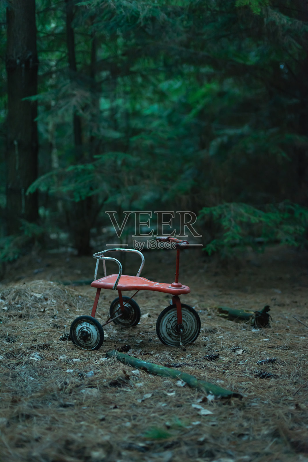 被遗弃的三轮车在黑暗的冷杉林。照片摄影图片
