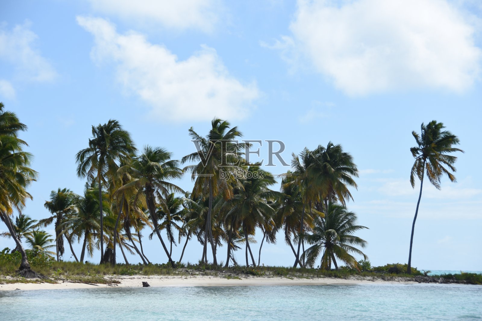 林孔海滩:多米尼加共和国照片摄影图片