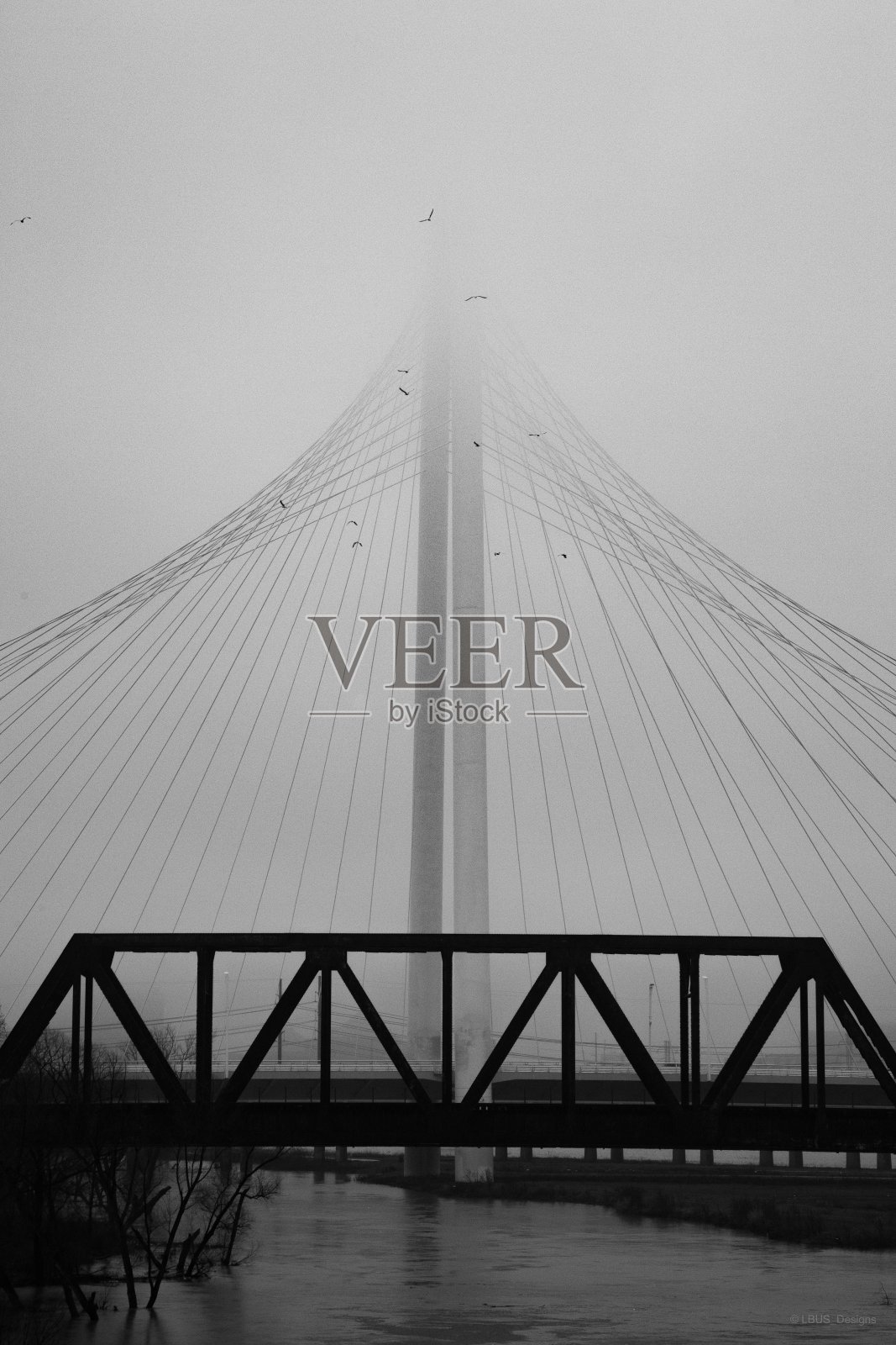 雾蒙蒙的桥照片摄影图片